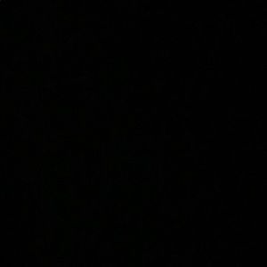 Meet your Posher, Noah